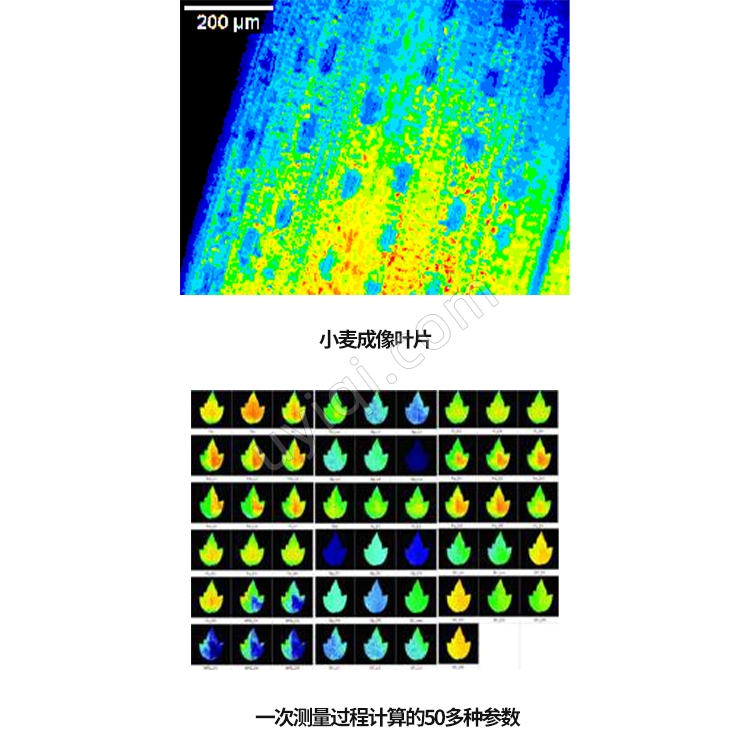 FC 800-O開放式動態(tài)熒光成像系統(tǒng)捷克PSI