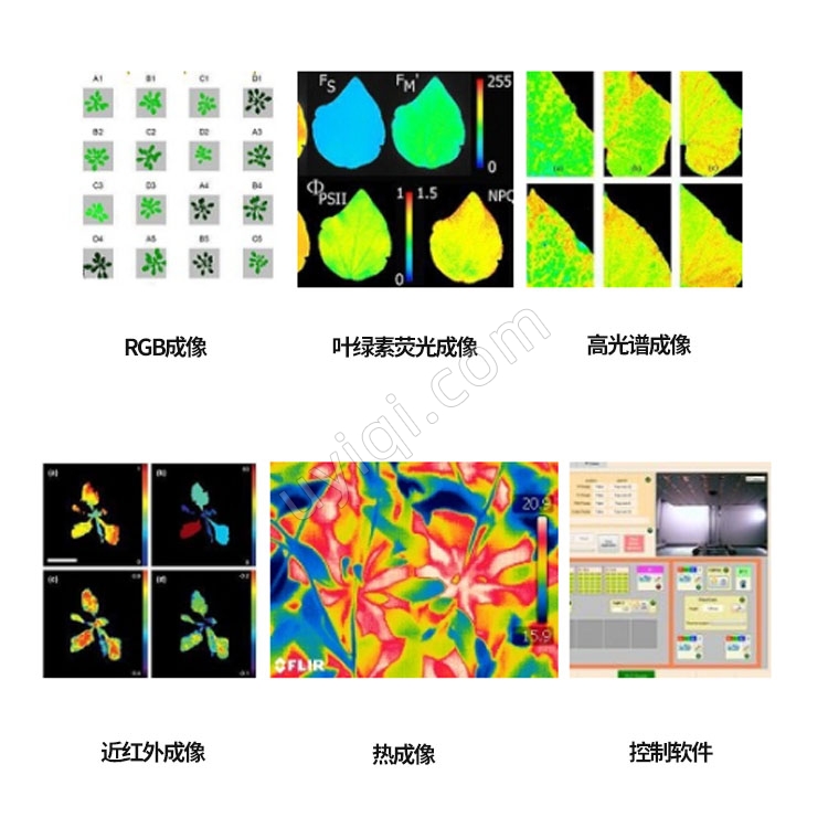 PlantScreen高通量植物表型成像分析系統(tǒng)捷克PSI