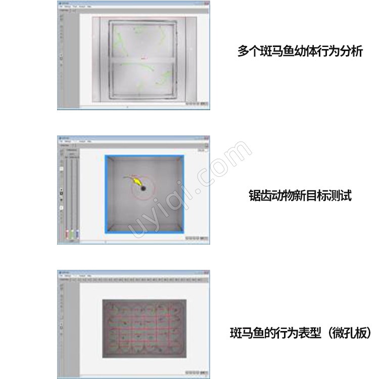 LoliTrack動物行為分析系統(tǒng)丹麥Loligo