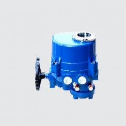 加拿大MORC角行程電動執(zhí)行器MAQ