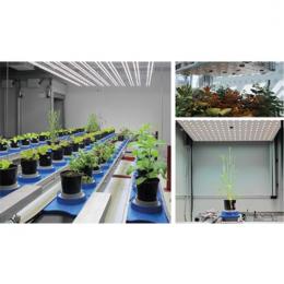 PlantScreen高通量植物表型成像分析系統(tǒng)捷克PSI-PlantScreen